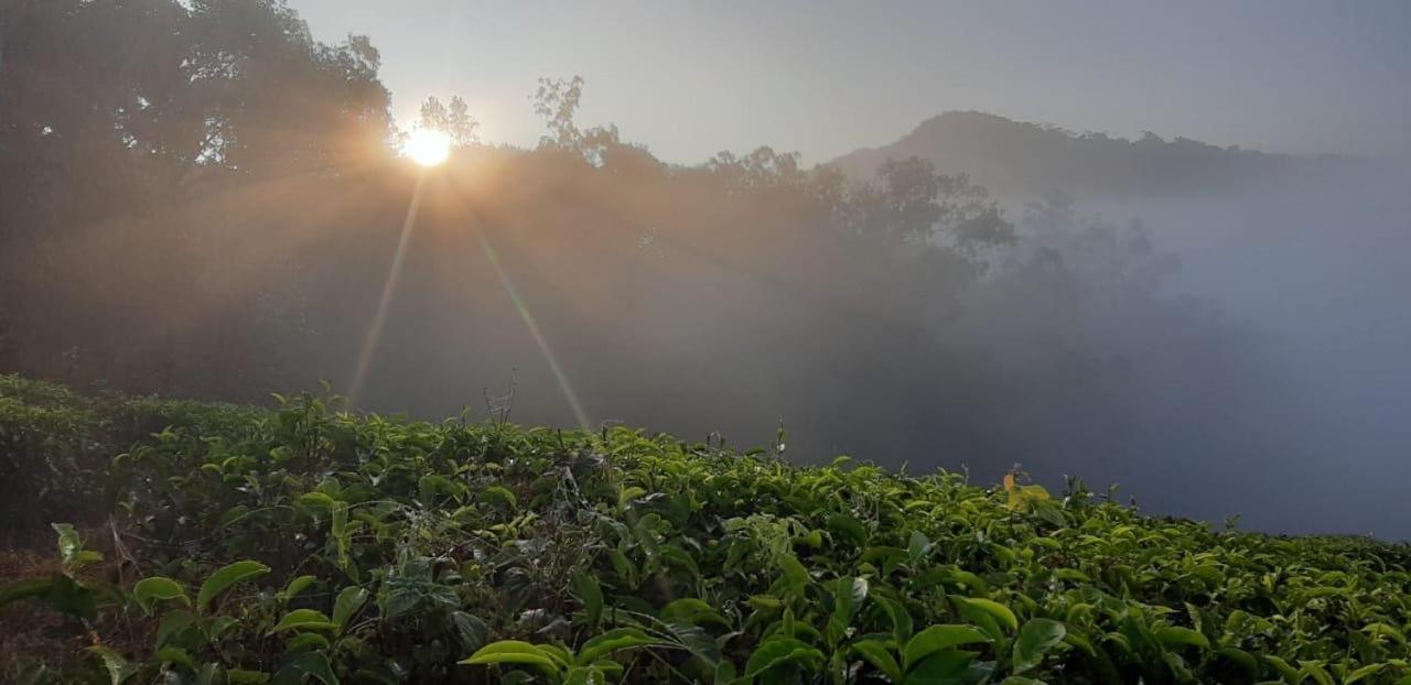 Cassells Jungle Resorts Thekkady Vandiperiyar Bagian luar foto