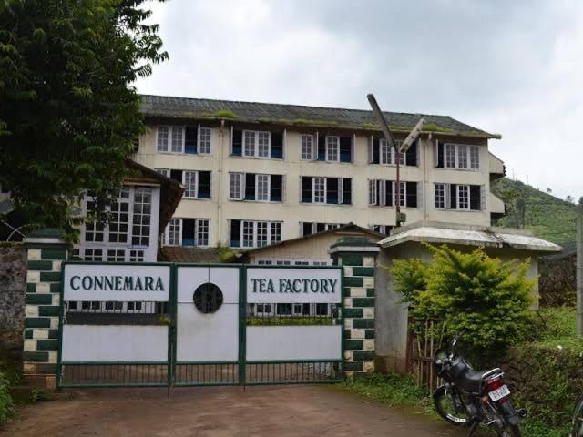 Cassells Jungle Resorts Thekkady Vandiperiyar Bagian luar foto