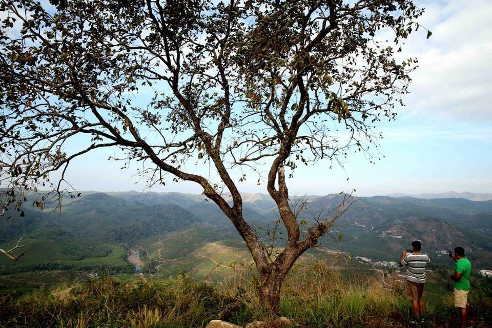 Cassells Jungle Resorts Thekkady Vandiperiyar Bagian luar foto