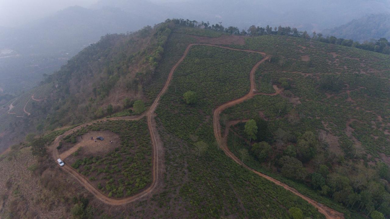 Cassells Jungle Resorts Thekkady Vandiperiyar Bagian luar foto